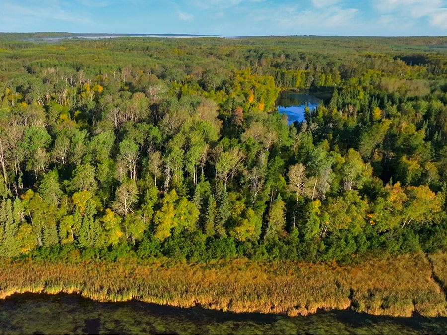 EquipeHeritage_Courtage_Century_Guylaine-9-min